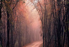 开云体育：这一次剧本如何书写？塞鸟2018年亚冠决赛踹射破门，送伊万亚军.