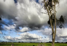 欧冠综合：阿森纳大捷 皇马小胜.