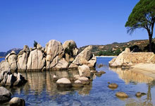 开云体育：NBA：雷霆121-105国王 亚历山大32分7板5助.